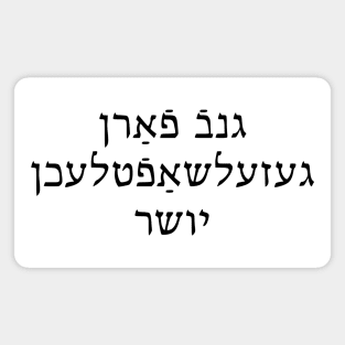 Social Justice Rogue (Yiddish, Masculine) Magnet